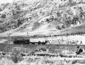 تخریب جنگل خاچکارها و انتقال آنها به وسیله قطار راه آهن