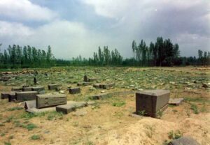 تصویر 8: نمای عمومی گورستان مهلم