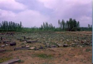 تصویر 7: نمای عمومی گورستان مهلم