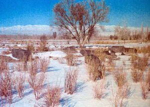 تصویر 10: نمای عمومی گورستان آخته خانه