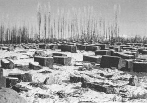 تصویر 13: نمای عمومی گورستان هفتوان