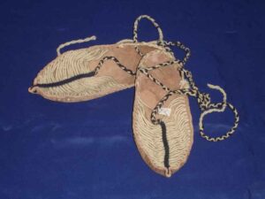 چاروخ دوخت فریدن