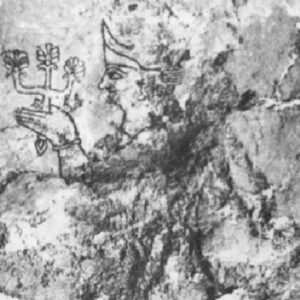 تصویری از پیشگویی با درخت