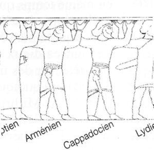 ارمنیان و کاپادوکیه ای ها در نقش رستم