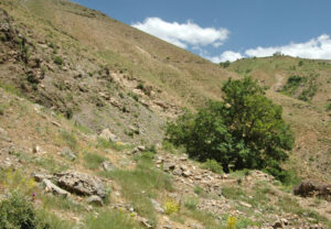 وضعیت فعلی کلیسای کجاوانک