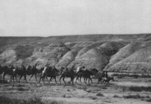 کاروانی در حال عبور