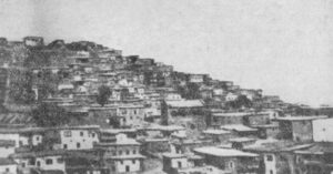 نمایی از موش