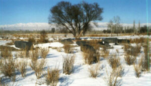 دورنمای قبرستان تاریخی ارمنی آفتارخانه