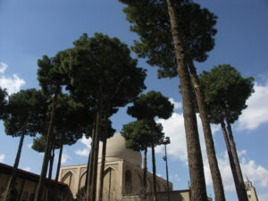 محوطه مشجر کلیسای وانک