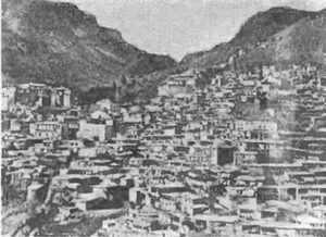 تصویر 1: دورنمایی از قصبه بزرگ زیتون اواخر سده نوزدهم