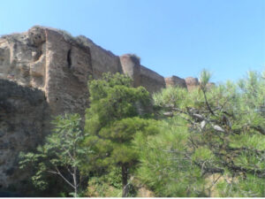 نمایی از نارین قلعه