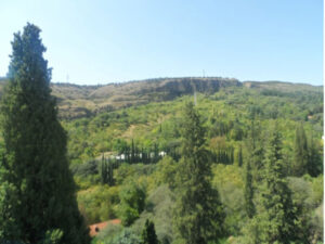 باغ گیاه شناسی تفلیس