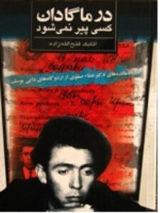 تصویر روی جلد کتاب در ماگادان کسی پیر نمی شود،اثر دکتر صفوی