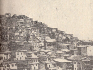 نمایی از شهر موش