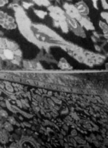 نمونۀ نقش کبوتر در فرش ارمنی باف فریدن منبع:هواساپیان،همان،ص125. منبع:شاهمندی و شهیدانی،همان،ص93