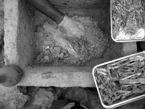 استخوانهای داخل صندوق