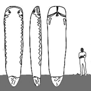 طرز قرار گرفتن ویشاباکارها