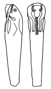 شکلی از ویشاباکار گروه سوم