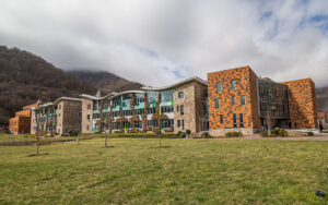 کالج بین المللی دیلیجان