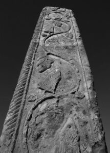 ستون روستای دسغ با نقشهای گیاه(27)