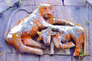 سنگ نگاره های واقع در دیر تساقاتس