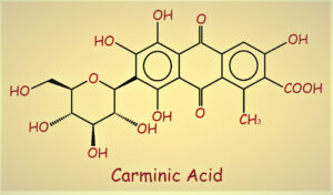 اسید کارمینیک