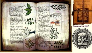 دانشنامۀ پزشکی امیر دولت آماسیایی، بنیاد دست نوشته های کهن ماتناداران